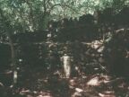 310 Huahine Marae (Religious Site).JPG (70 KB)